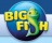 Big Fish Games Cash Back