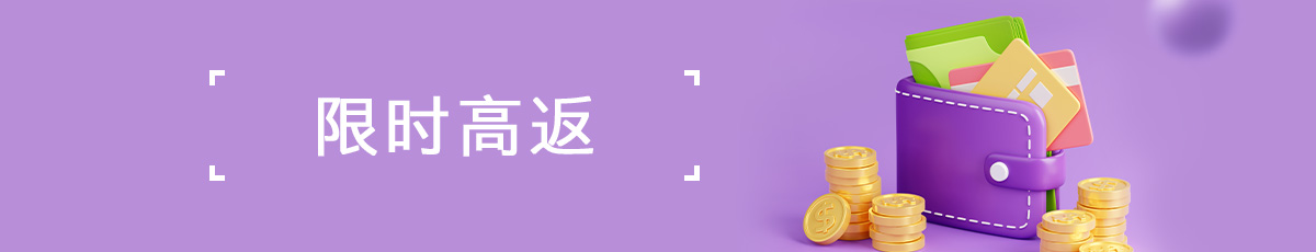 限时高返